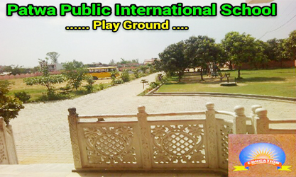 Patwa Public International School Basti